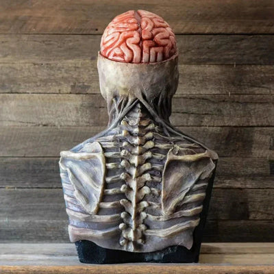 Skeleton Costume Skull Mask Printed Spine & Rib Cage