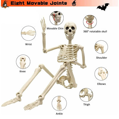 Skeleton Decoration Life-Size Adjustable Joints Weather-Resistant