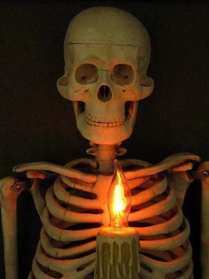 Skeleton Wall Art Life-Size 3D Flicker Light