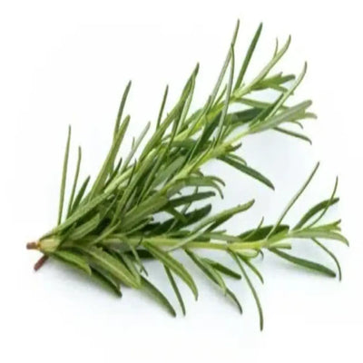 Skin Care Serum Tea Tree & Borneol Travel Size 3ml