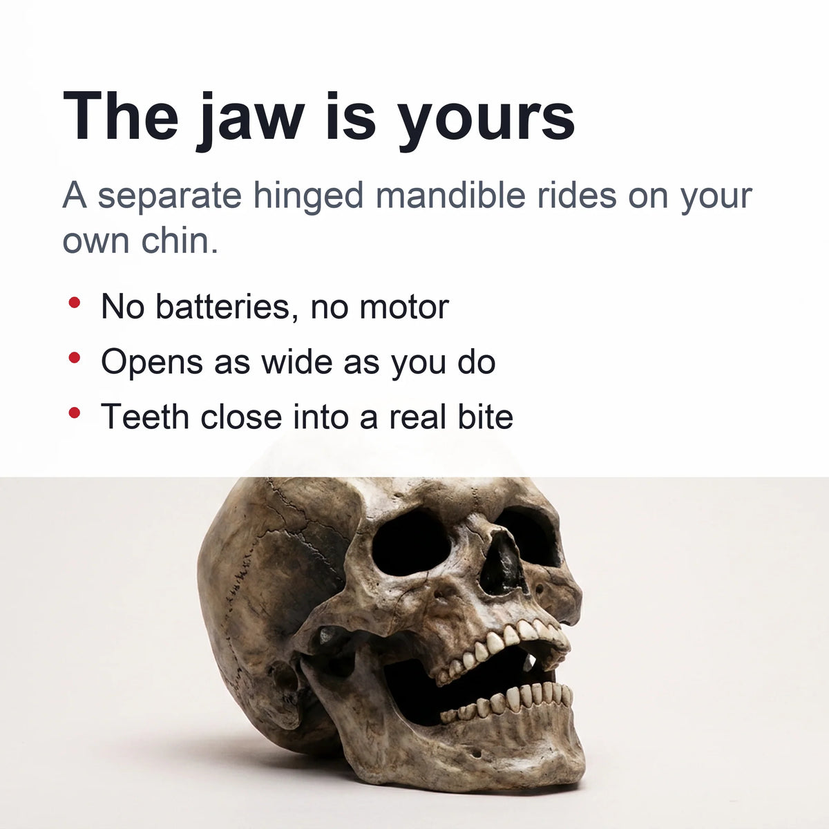 Skull Mask Full-Head Soft Latex Movable Jaw