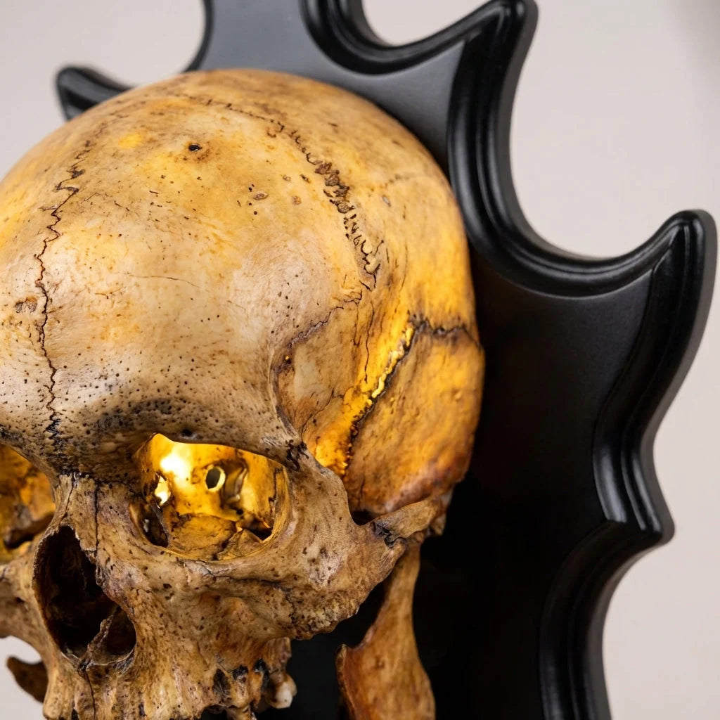 Skull Nightlight Sculpted Resin Warm LED & Integrated Sound