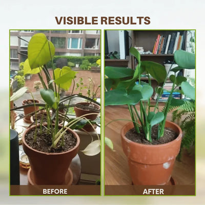 Soil Improvement Powder Potassium Mineral Complex Improves Root Zone