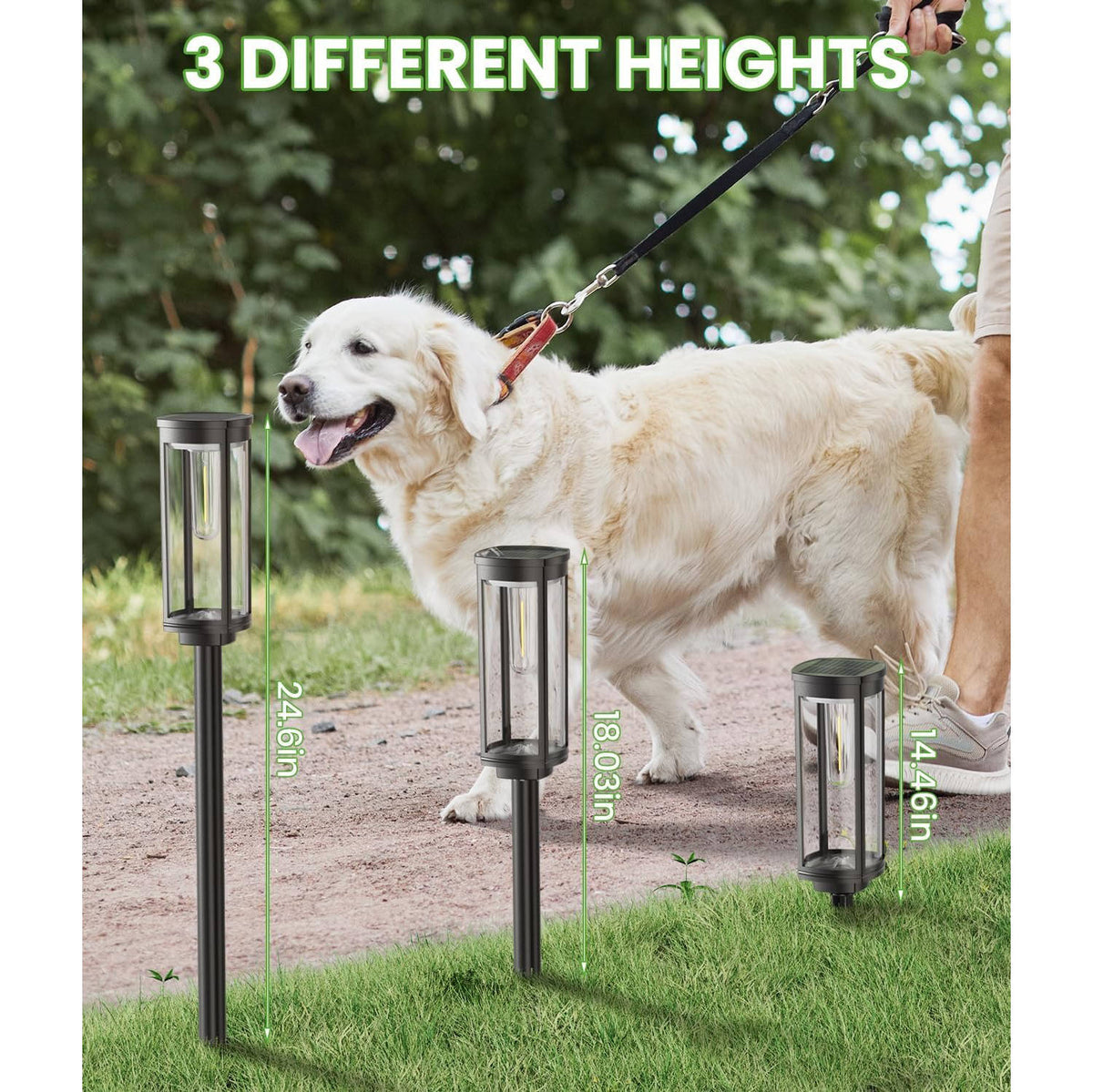 Solar Pathway Lights Dusk-to-Dawn Sensor 12-Hour Runtime