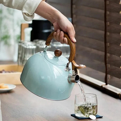 Stovetop Kettle Whistling Alert Insulated Handle Even Heat Base