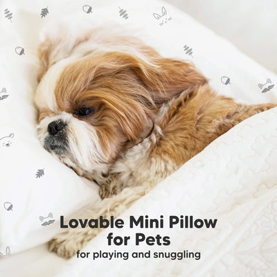 Toddler Pillow Cotton 9 x 13 Inch Machine-Washable Pillowcase Included