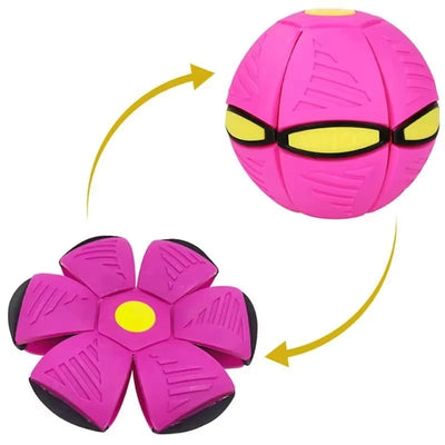 Transforming Toy Dual-Shape Lightweight Non-Toxic