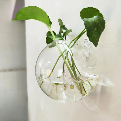 Wall Vase Drill-Free Mounting Borosilicate Glass