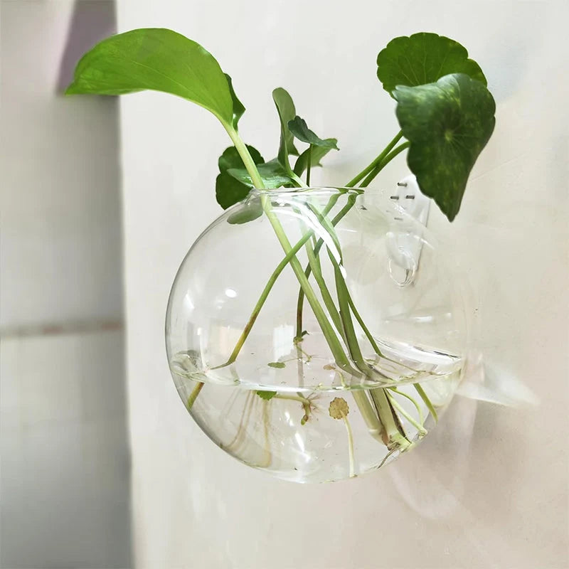 Wall Vase Drill-Free Mounting Borosilicate Glass