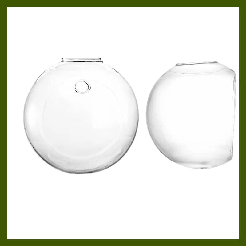 Wall Vase Drill-Free Mounting Borosilicate Glass