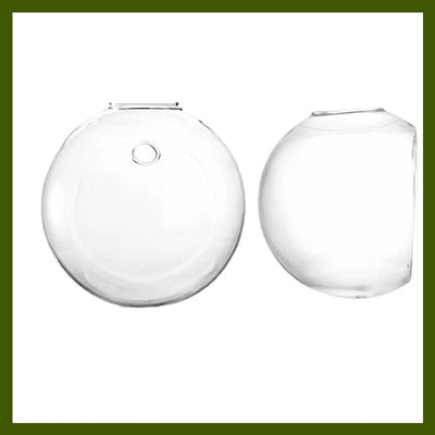 Wall Vase Drill-Free Waterproof Borosilicate Glass