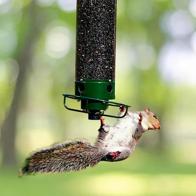 Wild Bird Feeder Weight-Activated Spinning Perch Metal Four Ports