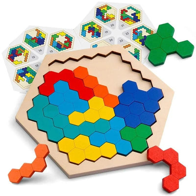 Wooden Puzzle Hexagonal 120 Challenges With Storage Case