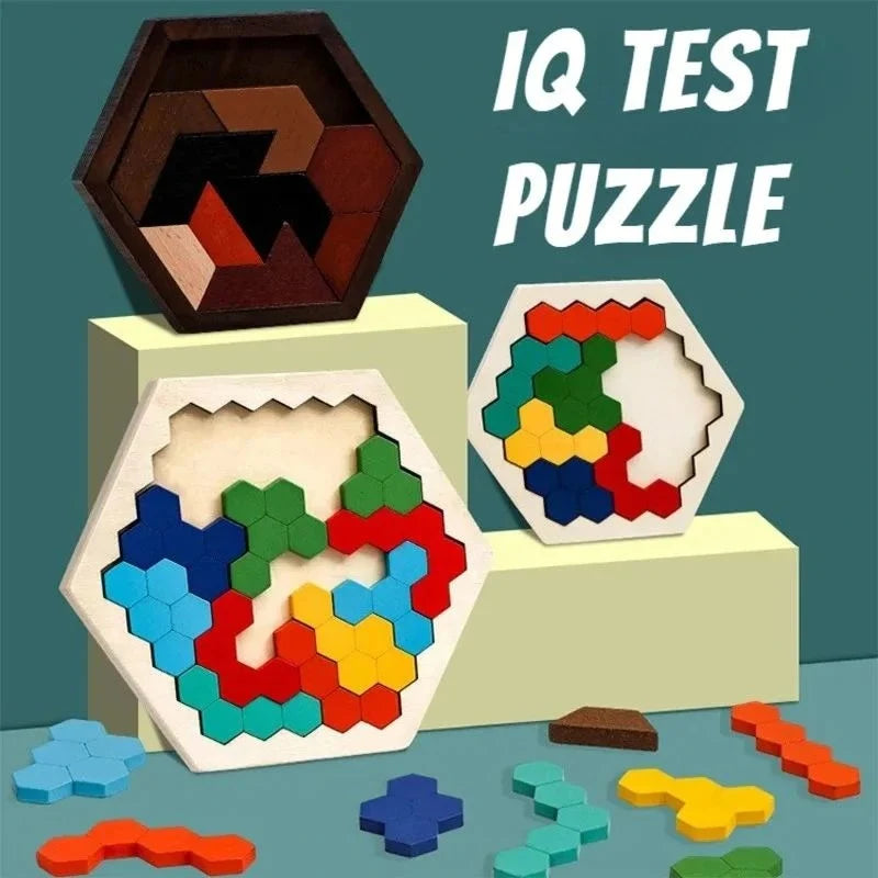 Wooden Puzzle Hexagonal 120 Challenges With Storage Case
