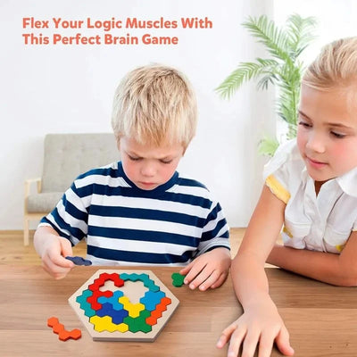 Wooden Puzzle Hexagonal 120 Challenges With Storage Case