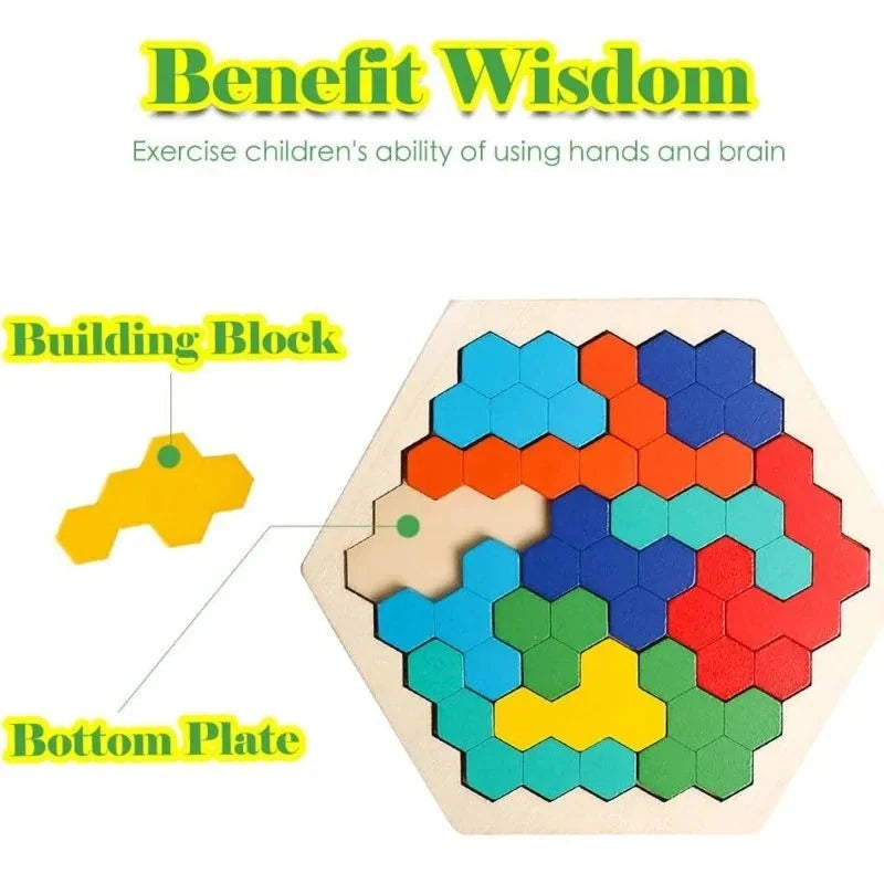 Wooden Puzzle Hexagonal 120 Challenges With Storage Case
